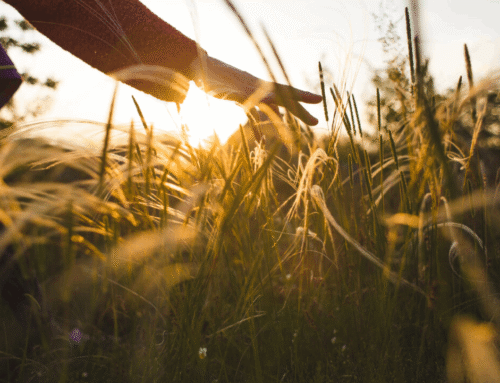 What to Expect on the Day of the Funeral