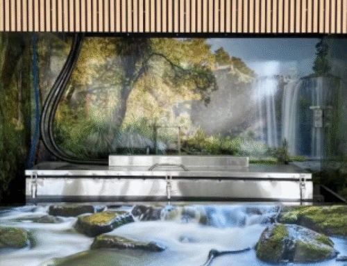 Water Cremation with Windsor Funeral Home